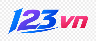 123 VN logo